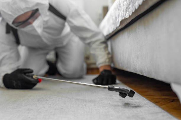 Professional Termite Control technician working in Tice, FL