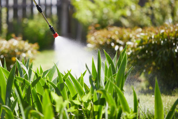 24/7 Emergency Termite Control experts in Tice, FL
